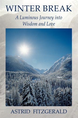 9781607020578: Winter Break : A Luminous Journey into Wisdom and Love