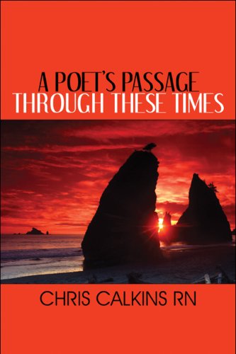 Beispielbild fr A Poets Passage Through These Times zum Verkauf von Ebooksweb