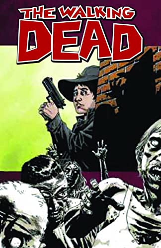 Stock image for The Walking Dead 12: Life Among Them for sale by Magers and Quinn Booksellers