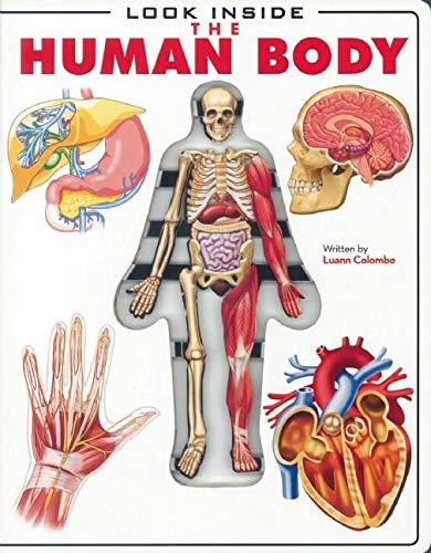 Imagen de archivo de Look Inside: The Human Body a la venta por Half Price Books Inc.