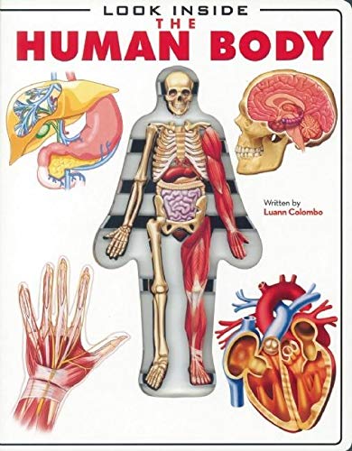 Stock image for Look Inside: The Human Body for sale by Half Price Books Inc.