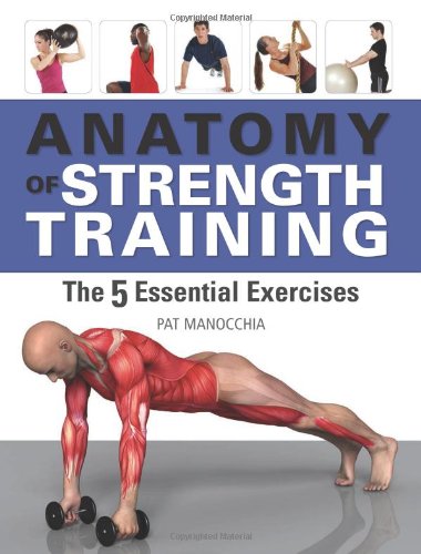 Beispielbild fr Anatomy of Strength Training: The 5 Essential Exercises zum Verkauf von WeBuyBooks