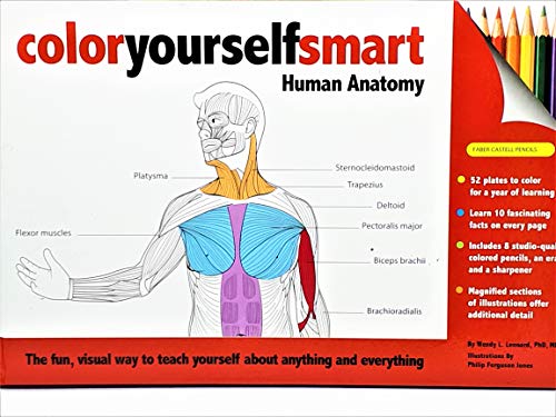 Beispielbild fr Color Yourself Smart: Human Anatomy zum Verkauf von -OnTimeBooks-