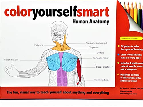 Imagen de archivo de Color Yourself Smart: Human Anatomy a la venta por Orion Tech