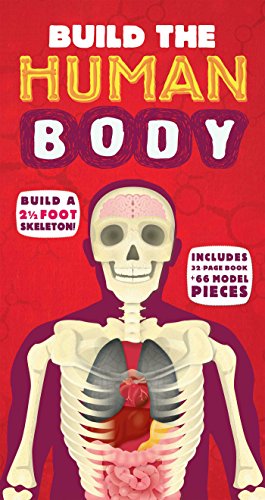 Beispielbild fr Build the Human Body zum Verkauf von ZBK Books