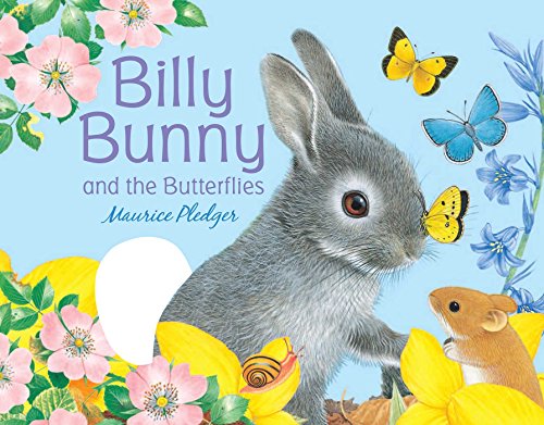 9781607108085: Billy Bunny and the Butterflies
