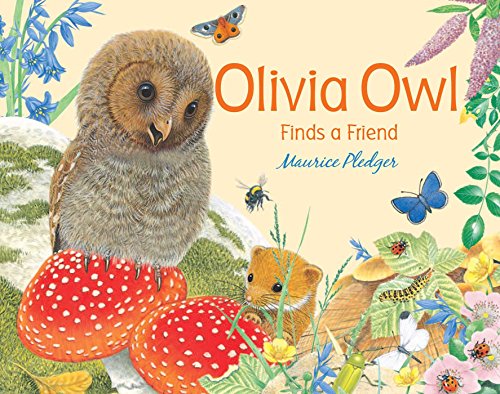 Stock image for Olivia Owl Finds a Friend (Friendship Tales) for sale by SecondSale