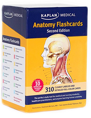 Imagen de archivo de Anatomy Flashcards a la venta por HPB-Ruby