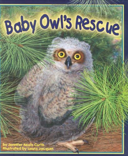 Beispielbild fr Baby Owl's Rescue zum Verkauf von Wonder Book