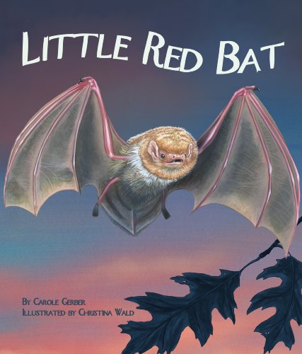9781607180807: Little Red Bat