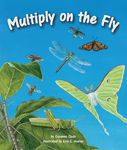 Beispielbild fr Multiply on the Fly zum Verkauf von Better World Books: West