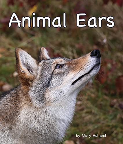 Beispielbild fr Animal Ears zum Verkauf von Better World Books