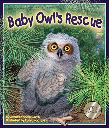 Stock image for Baby Owl's Rescue (Arbordale Collection) for sale by Your Online Bookstore