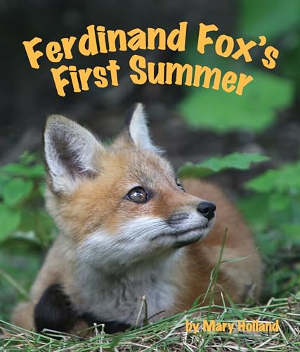 9781607186144: Ferdinand Fox's First Summer