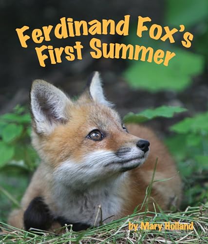 Stock image for Ferdinand Fox's First Summer for sale by Better World Books