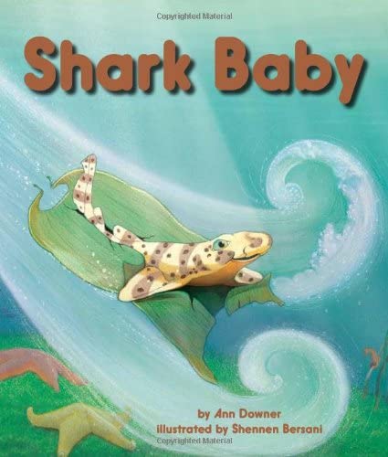 Beispielbild fr Shark Baby zum Verkauf von Better World Books
