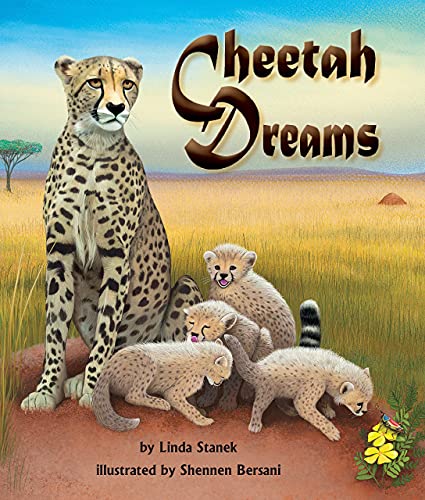 9781607187271: Cheetah Dreams (Arbordale Collection)