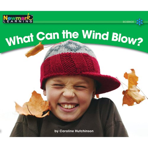 Beispielbild fr What Can the Wind Blow? zum Verkauf von Better World Books