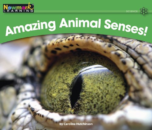 Stock image for Amazing Animal Senses! (Rising Readers: Level H) for sale by SecondSale