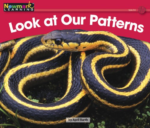 Stock image for Look at Our Patterns (Rising Readers: Math Set 2: Levels D-i) for sale by SecondSale