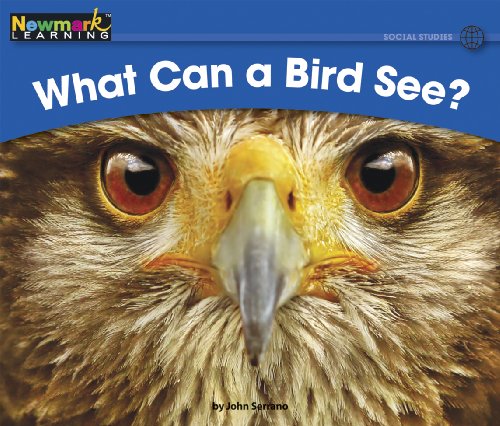 Stock image for What Can A Bird See? for sale by Better World Books