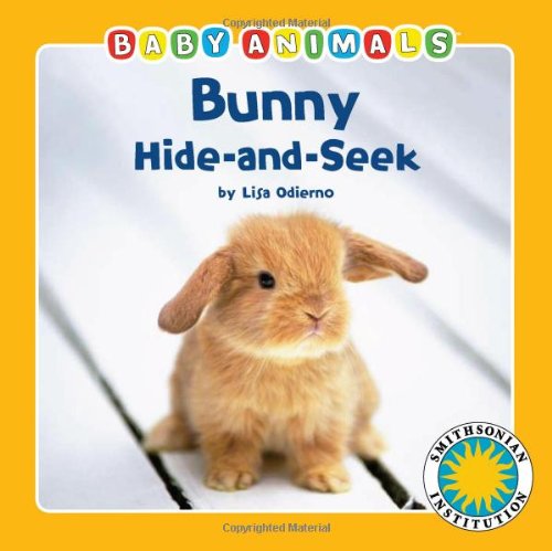 Beispielbild fr Bunny Hide-and-Seek zum Verkauf von Better World Books