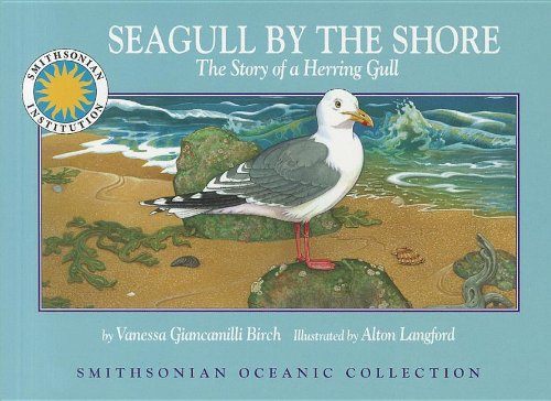 Imagen de archivo de Seagull by the Shore: The Story of a Herring Gull a la venta por ThriftBooks-Atlanta