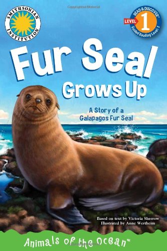 Stock image for Fur Seal Grows Up: A Story of a Galapagos Fur Seal (Read-and-Discover) (Smithsonian Read & Discover, Level 1) for sale by Books Unplugged