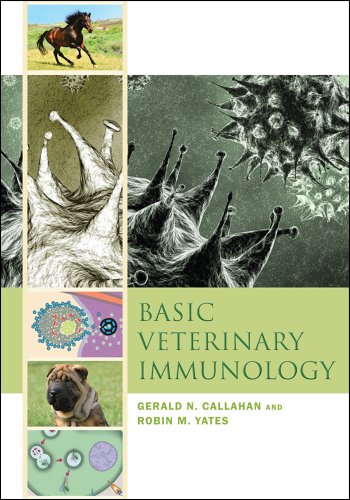 Beispielbild fr Basic Veterinary Immunology zum Verkauf von Zoom Books Company