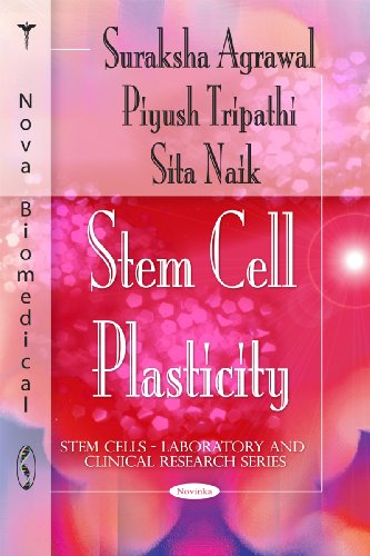 Stock image for Stem Cell Plasticity for sale by Books Puddle