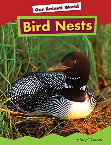 Bird Nests (Amicus Readers Level 1: Our Animal World) (9781607530091) by Adamson, Heather