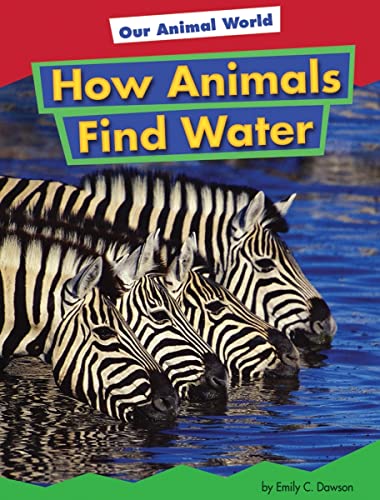 Stock image for How Animals Find Water (Our Animal World) for sale by Ergodebooks