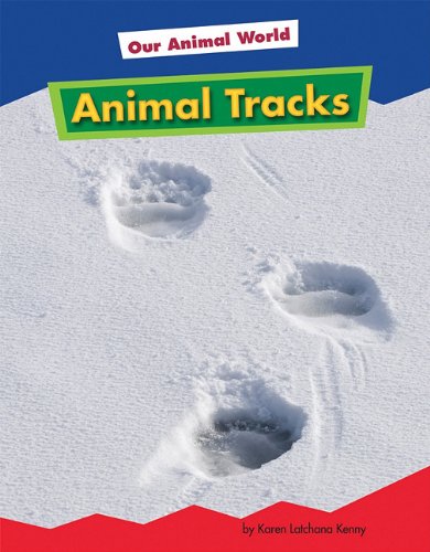 Animal Tracks (Amicus Readers: Our Animal World, Level 1) (9781607531425) by Karen Latchana Kenney