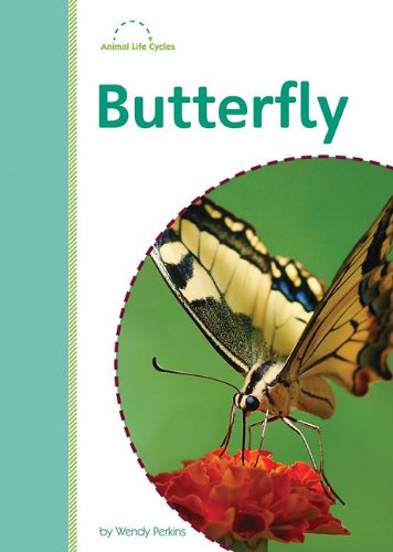 Butterfly (Amicus Readers Level 2: Animal Life Cycles) (9781607531531) by Perkins, Wendy