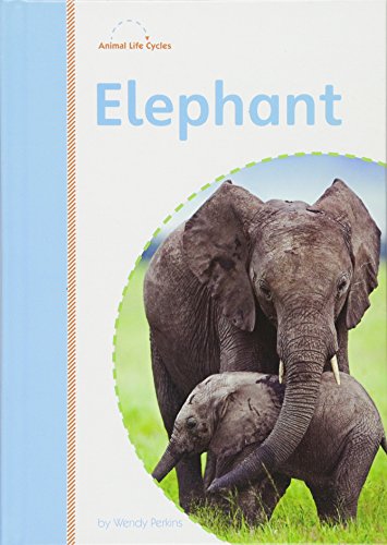 Elephant (Amicus Readers Level 2: Animal Life Cycles) (9781607531555) by Perkins, Wendy