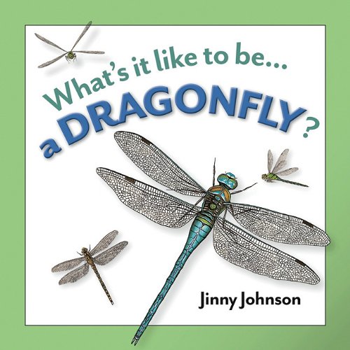 Imagen de archivo de A Dragonfly? a la venta por Better World Books
