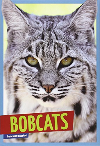 9781607535980: Bobcats (Wild Cats)