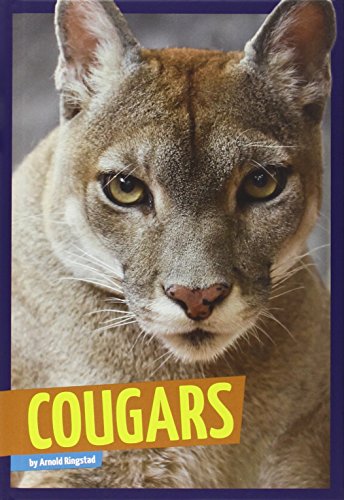 Stock image for Cougars for sale by Better World Books