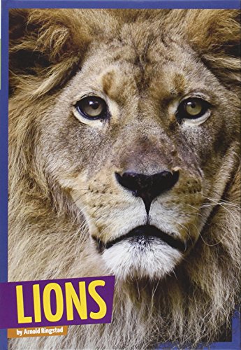 9781607536031: Lions (Wild Cats)
