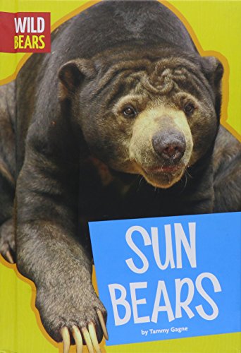 Stock image for Sun Bears for sale by Blackwell's