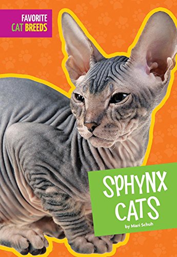 Stock image for Sphynx Cats Favorite Cat Breeds for sale by PBShop.store US