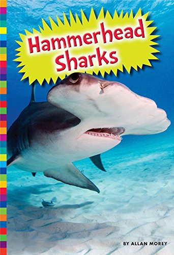 9781607539780: Hammerhead Sharks