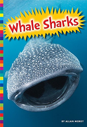 Imagen de archivo de Whale Sharks a la venta por Better World Books
