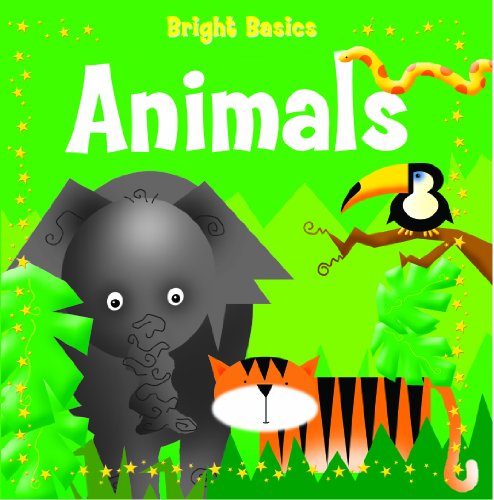 Animals (Bright Basics) (9781607546887) by Filipek, Nina