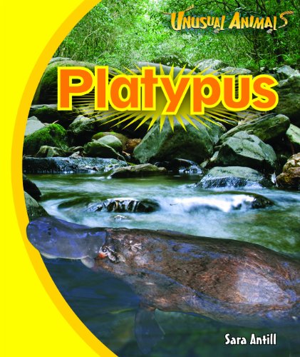 9781607549918: Platypus (Unusual Animals)