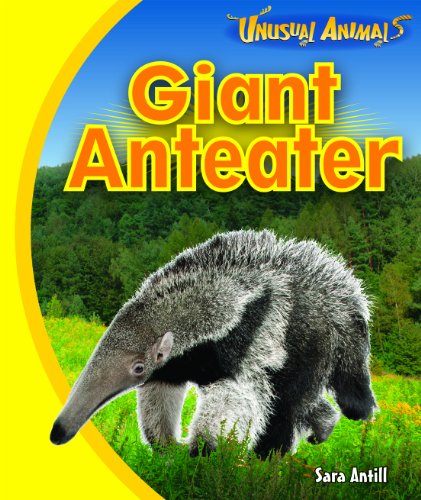 Beispielbild fr Giant Anteater (Unusual Animals) zum Verkauf von Gulf Coast Books