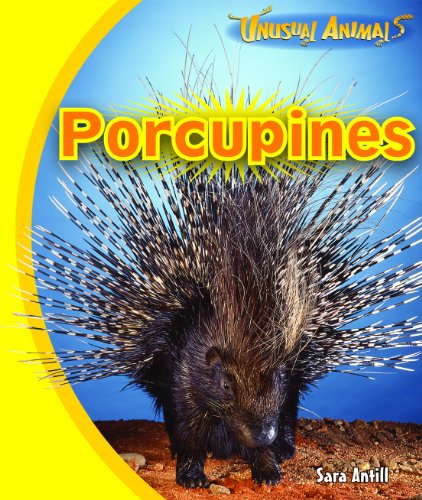 Beispielbild fr Porcupines zum Verkauf von Better World Books