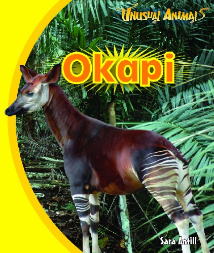 Beispielbild fr Okapi zum Verkauf von Better World Books