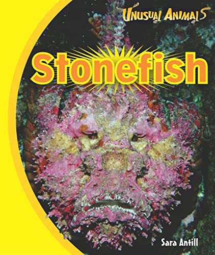 Beispielbild fr Stonefish zum Verkauf von ThriftBooks-Atlanta