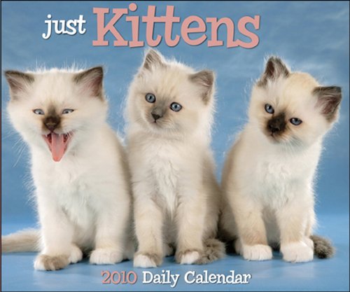 Just Kittens 2010 Box Calendar (9781607550549) by Willow Creek Press